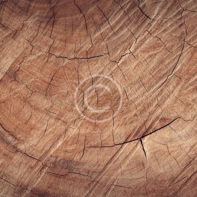 Natural oak panels